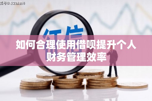 定陶如何合理使用借呗提升个人财务管理效率