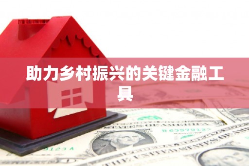 定陶助力乡村振兴的关键金融工具