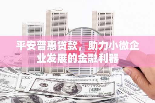 定陶平安普惠贷款，助力小微企业发展的金融利器
