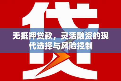 定陶无抵押贷款，灵活融资的现代选择与风险控制