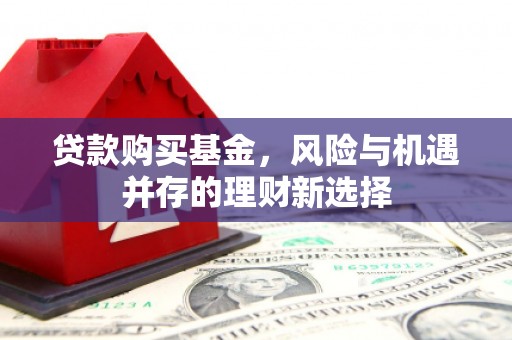 定陶贷款购买基金，风险与机遇并存的理财新选择