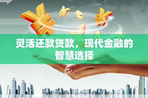 定陶灵活还款贷款，现代金融的智慧选择