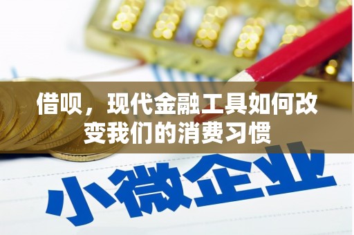 定陶借呗，现代金融工具如何改变我们的消费习惯