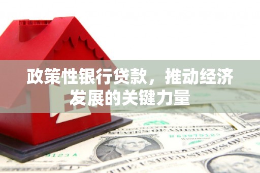 定陶政策性银行贷款，推动经济发展的关键力量