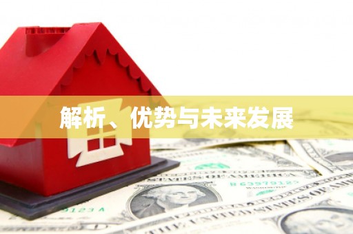 定陶解析、优势与未来发展