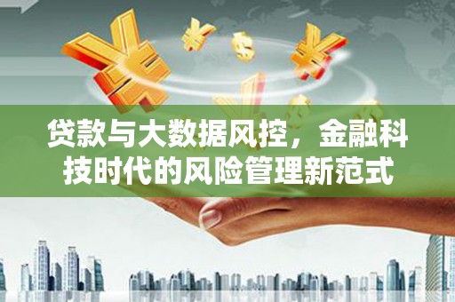 定陶贷款与大数据风控，金融科技时代的风险管理新范式