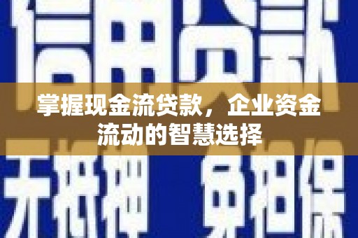 定陶掌握现金流贷款，企业资金流动的智慧选择