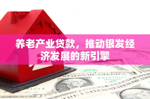定陶养老产业贷款，推动银发经济发展的新引擎