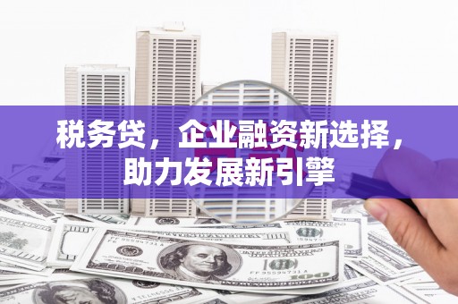 定陶税务贷，企业融资新选择，助力发展新引擎