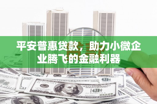 定陶平安普惠贷款，助力小微企业腾飞的金融利器