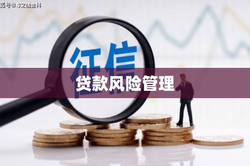 定陶贷款风险管理