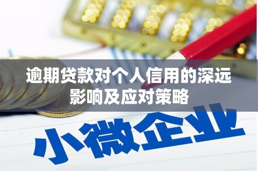定陶逾期贷款对个人信用的深远影响及应对策略