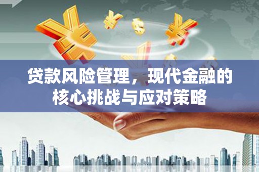 定陶贷款风险管理，现代金融的核心挑战与应对策略