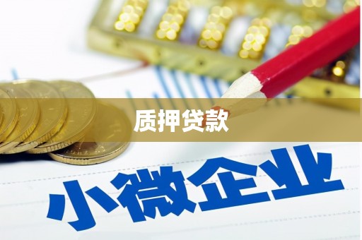 定陶质押贷款