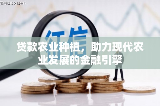 定陶贷款农业种植，助力现代农业发展的金融引擎