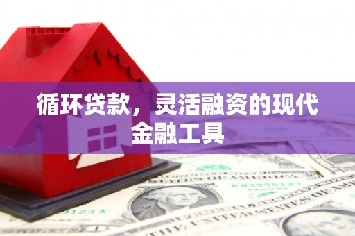 定陶循环贷款，灵活融资的现代金融工具