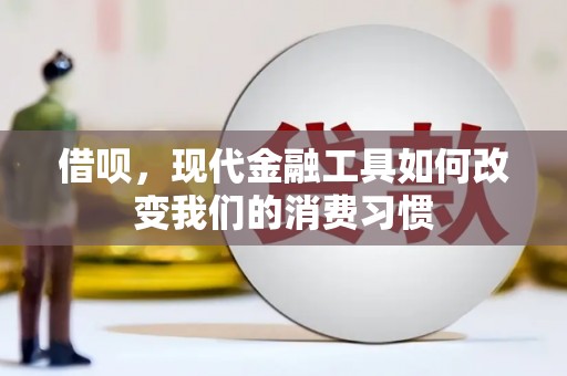 定陶借呗，现代金融工具如何改变我们的消费习惯