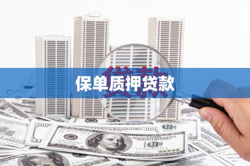 定陶保单质押贷款