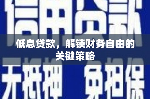 定陶低息贷款，解锁财务自由的关键策略