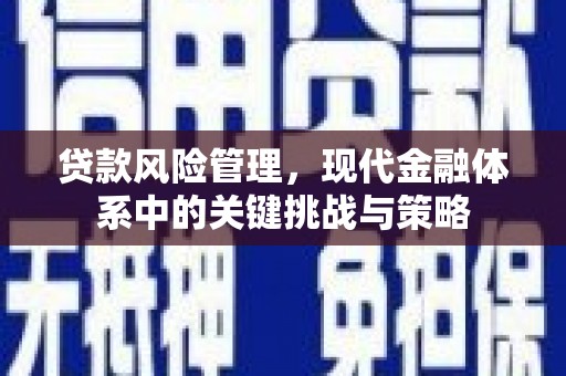 定陶贷款风险管理，现代金融体系中的关键挑战与策略