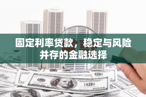 定陶固定利率贷款，稳定与风险并存的金融选择