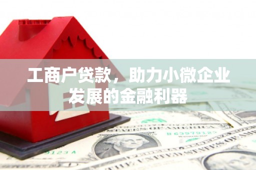 定陶工商户贷款，助力小微企业发展的金融利器