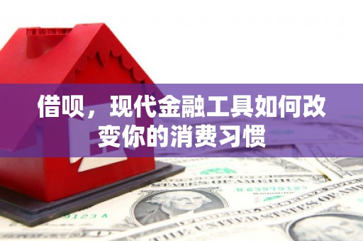 定陶借呗，现代金融工具如何改变你的消费习惯