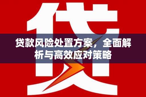 定陶贷款风险处置方案，全面解析与高效应对策略