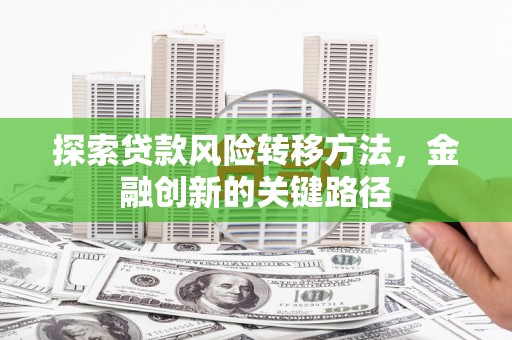 定陶探索贷款风险转移方法，金融创新的关键路径
