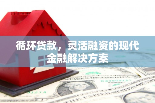 定陶循环贷款，灵活融资的现代金融解决方案