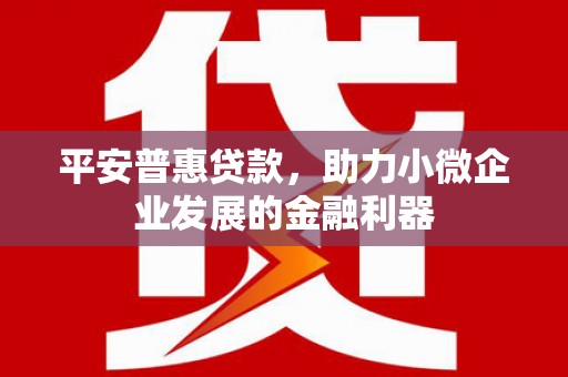 定陶平安普惠贷款，助力小微企业发展的金融利器