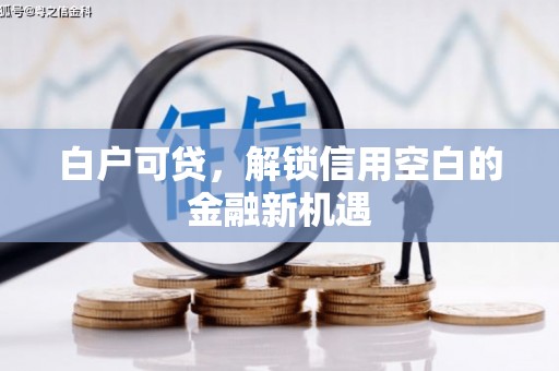 定陶白户可贷，解锁信用空白的金融新机遇