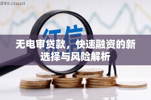 定陶无电审贷款，快速融资的新选择与风险解析