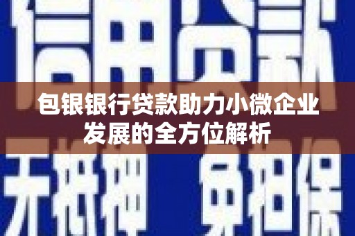 定陶包银银行贷款助力小微企业发展的全方位解析