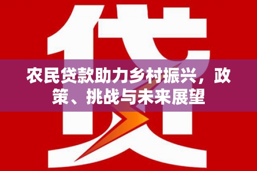 定陶农民贷款助力乡村振兴，政策、挑战与未来展望