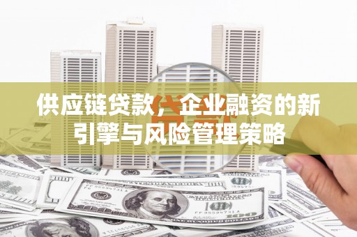 定陶供应链贷款，企业融资的新引擎与风险管理策略