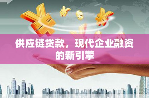 定陶供应链贷款，现代企业融资的新引擎