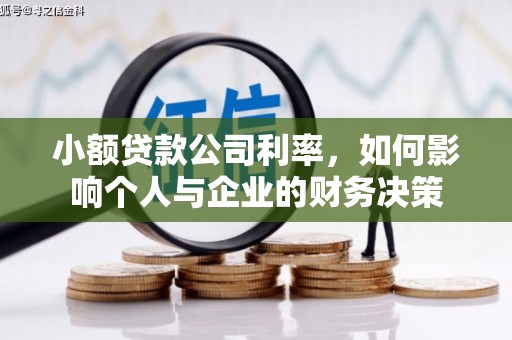 定陶小额贷款公司利率，如何影响个人与企业的财务决策