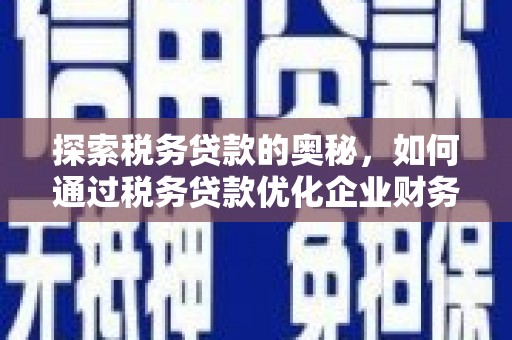 定陶探索税务贷款的奥秘，如何通过税务贷款优化企业财务