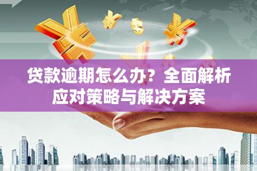 定陶贷款逾期怎么办？全面解析应对策略与解决方案