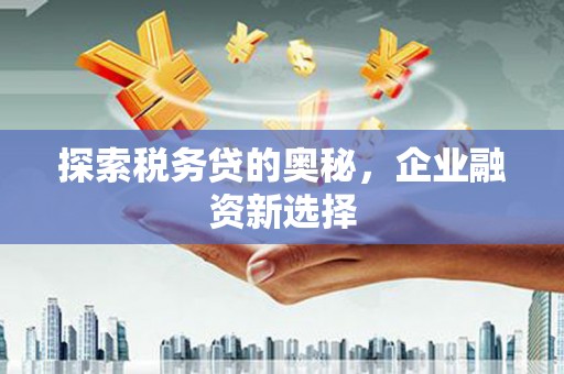 定陶探索税务贷的奥秘，企业融资新选择