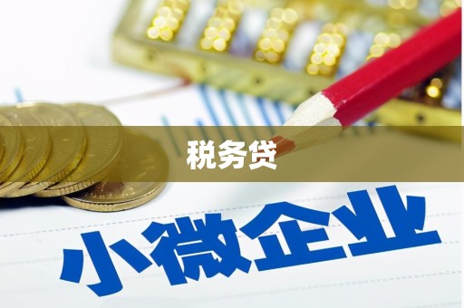 定陶税务贷
