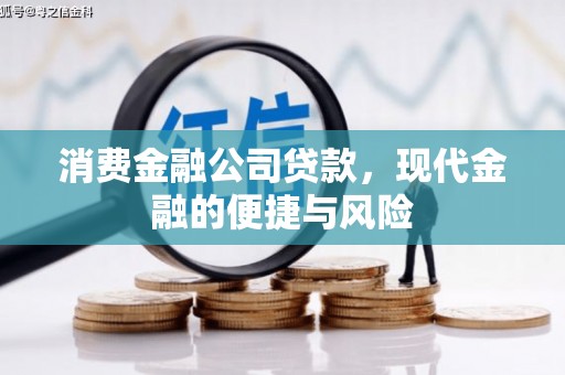 定陶消费金融公司贷款，现代金融的便捷与风险