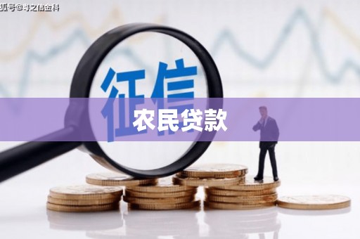 定陶农民贷款