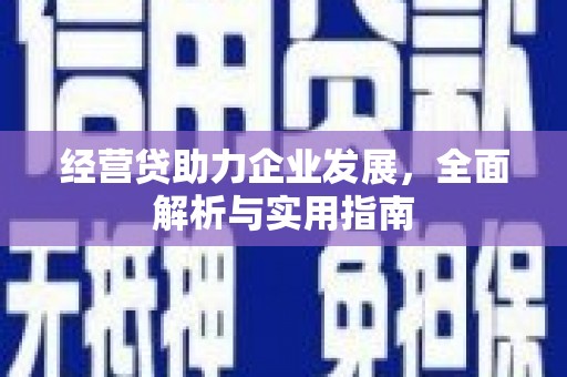 定陶经营贷助力企业发展，全面解析与实用指南