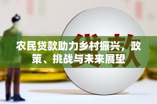 定陶农民贷款助力乡村振兴，政策、挑战与未来展望