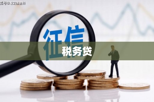 定陶税务贷