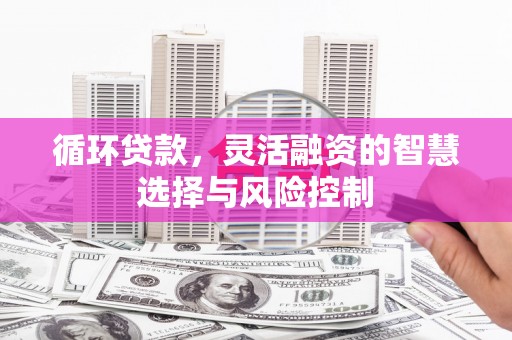 定陶循环贷款，灵活融资的智慧选择与风险控制