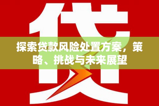 定陶探索贷款风险处置方案，策略、挑战与未来展望