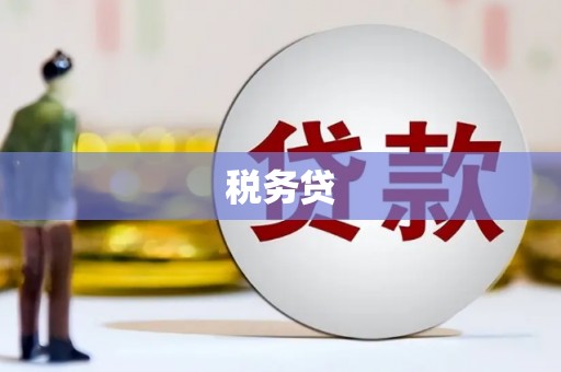 定陶税务贷